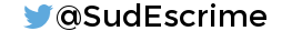 @SudEscrime sur Twitter !